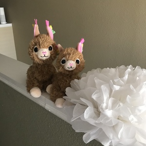 Fundraising Page: Jodi Hurst